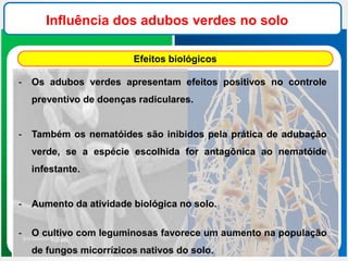 Influência dos adubos verdes no solo
Efeitos biológicos
- Os adubos verdes apresentam efeitos positivos no controle
preventivo de doenças radiculares.
- Também os nematóides são inibidos pela prática de adubação
verde, se a espécie escolhida for antagônica ao nematóide
infestante.
- Aumento da atividade biológica no solo.
- O cultivo com leguminosas favorece um aumento na população
de fungos micorrízicos nativos do solo.
 