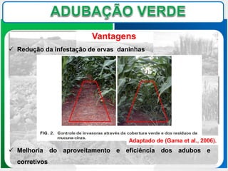 Vantagens
 Melhoria do aproveitamento e eficiência dos adubos e
corretivos
 Redução da infestação de ervas daninhas
Adaptado de (Gama et al., 2006).
 