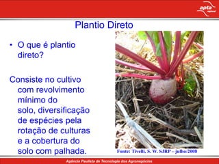 Áreas pequenas e intensamente explorada