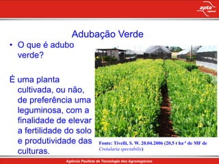 Adubação VerdeO que é adubo verde?É uma planta cultivada, ou não, de preferência uma leguminosa, com a finalidade de elevar a fertilidade do solo e produtividade das culturas.Fonte: Tivelli, S. W. 20.04.2006 (20,5 t ha-1 de MF de Crotalaria spectabilis)