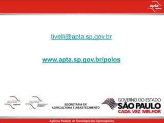 Plantio DiretoO que é plantio direto?Consiste no cultivo com revolvimento mínimo do solo, diversificação de espécies pela rotação de culturas e a cobertura do solo com palhada.Fonte: Tivelli, S. W. SJRP – julho/2008