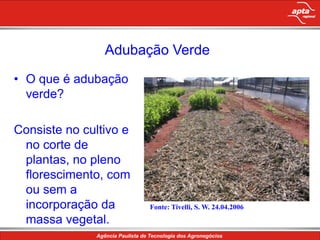 Adubação VerdeO que é adubação verde?Consiste no cultivo e no corte de plantas, no pleno florescimento, com ou sem a incorporação da massa vegetal.Fonte: Tivelli, S. W. 24.04.2006