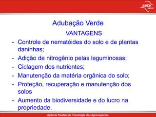 Adubação VerdeVANTAGENSControle de nematóides do solo e de plantas daninhas;