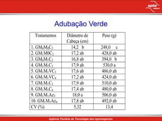 Adição de nitrogênio pelas leguminosas;