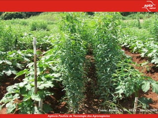 Proteção, recuperação e manutenção dos solos