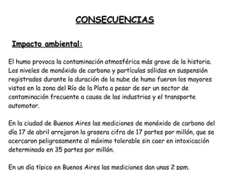 El humo provoca la contaminación atmosférica más grave de la historia. Los niveles de monóxido de carbono y partículas sólidas en suspensión registrados durante la duración de la nube de humo fueron los mayores vistos en la zona del Río de la Plata a pesar de ser un sector de contaminación frecuente a causa de las industrias y el transporte automotor.  En la ciudad de Buenos Aires las mediciones de monóxido de carbono del día 17 de abril arrojaron la grosera cifra de 17 partes por millón, que se acercaron peligrosamente al máximo tolerable sin caer en intoxicación determinado en 35 partes por millón.  En un día típico en Buenos Aires las mediciones dan unas 2 ppm. Impacto ambiental: CONSECUENCIAS 