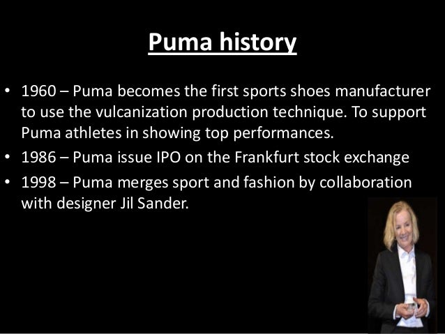 puma demographic segmentation