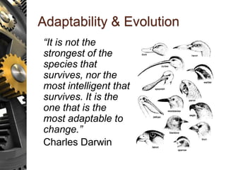 Adaptability & Evolution
“It is not the
strongest of the
species that
survives, nor the
most intelligent that
survives. It is the
one that is the
most adaptable to
change.”
Charles Darwin
 