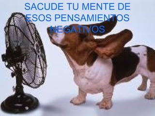 SACUDE TU MENTE DE ESOS PENSAMIENTOS NEGATIVOS 