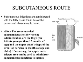 SUBCUTANEOUS ROUTE
• Subcutaneous injections are administered
into the fatty tissue found below the
dermis and above muscle tissue.
• -Site - The recommended
subcutaneous sites for vaccine
administration are the thigh (for
infants younger than 12 months of
age) and the upper outer triceps of the
arm (for persons 12 months of age and
older). If necessary, the upper outer
triceps area can be used to administer
subcutaneous injections to infants.
 