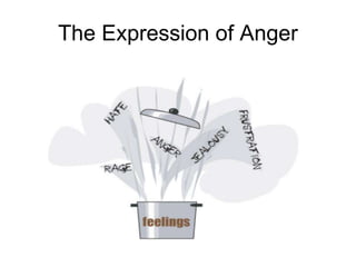The Expression of Anger
 