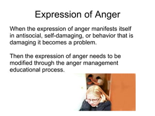Adult Anger Management Presentation