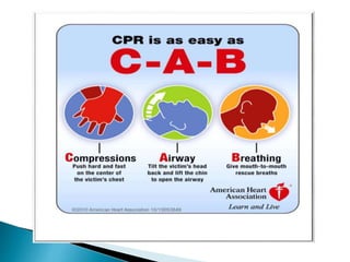 Adult basic life support cpr | PPTX