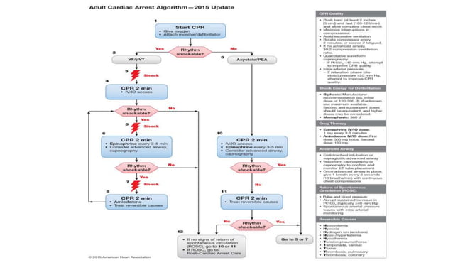 Adult BLS & ACLS 2015