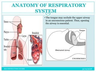 ANATOMY OF RESPIRATORY
SYSTEM
• The tongue may occlude the upper airway
in an unconscious patient. Thus, opening
the airway is essential.
31/12/2018
10
BLS INSTRUCTOR COURSE
 