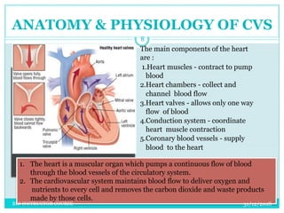 The main components of the heart
are :
1.Heart muscles - contract to pump
blood
2.Heart chambers - collect and
channel blood flow
3.Heart valves - allows only one way
flow of blood
4.Conduction system - coordinate
heart muscle contraction
5.Coronary blood vessels - supply
blood to the heart
ANATOMY & PHYSIOLOGY OF CVS
1. The heart is a muscular organ which pumps a continuous flow of blood
through the blood vessels of the circulatory system.
2. The cardiovascular system maintains blood flow to deliver oxygen and
nutrients to every cell and removes the carbon dioxide and waste products
made by those cells.
31/12/2018
8
BLS INSTRUCTOR COURSE
 