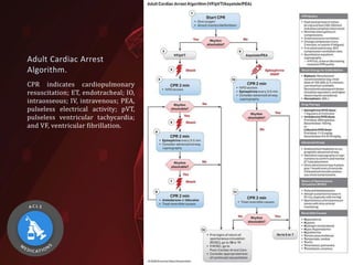 Adult Cardio Pulmonary Resuscitation (CPR) 2020 (BLS-ACLS-Post CPR) | PDF