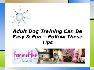 Adult Dog Training Can Be
Easy & Fun – Follow These
Tips

 