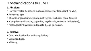 Contraindications to ECMO
1. Absolute:
• Unrecoverable heart and not a candidate for transplant or VAD,
• Advanced age,
• Chronic organ dysfunction (emphysema, cirrhosis, renal failure),
• Compliance (financial, cognitive, psychiatric, or social limitations),
• Prolonged CPR without adequate tissue perfusion.
2. Relative:
• Contraindication for anticoagulation,
• Advanced age,
• Obesity.
 