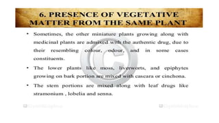 Adulteration and evaluation cognosy subsy