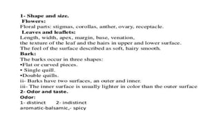 Adulteration and evaluation cognosy subsy