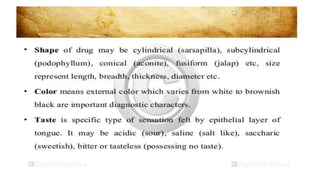 Adulteration and evaluation cognosy subsy