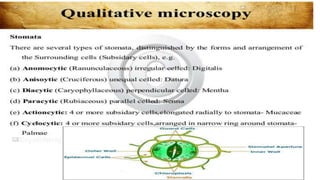 Adulteration and evaluation cognosy subsy