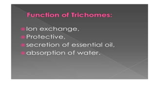 Adulteration and evaluation cognosy subsy