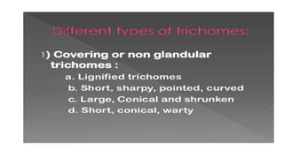 Adulteration and evaluation cognosy subsy