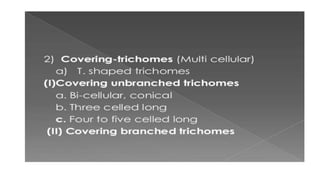 Adulteration and evaluation cognosy subsy
