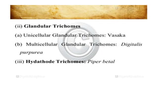 Adulteration and evaluation cognosy subsy