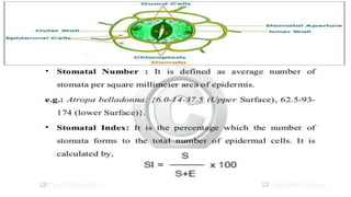 Adulteration and evaluation cognosy subsy