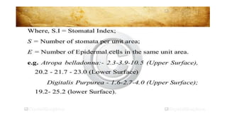 Adulteration and evaluation cognosy subsy