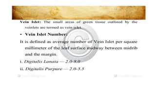 Adulteration and evaluation cognosy subsy