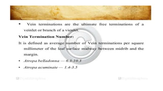 Adulteration and evaluation cognosy subsy