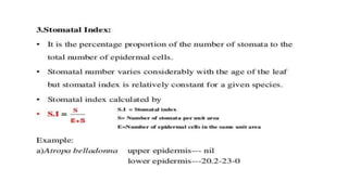 Adulteration and evaluation cognosy subsy