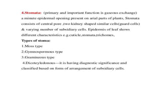 Adulteration and evaluation cognosy subsy