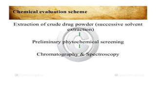 Adulteration and evaluation cognosy subsy