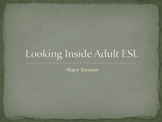 -Stacy Stevens Looking Inside Adult ESL 