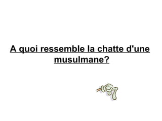 A quoi ressemble la chatte d'une
          musulmane?
 