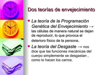 Dos teorías de envejecimiento La teoría de la Programación Genética del Envejecimiento  ->   las células de manera natural se dejan de reproducir, lo que provoca el deterioro físico de la persona .  La teoría del Desgaste ->  nos dice que las funciones mecánicas del cuerpo simplemente se desgastan , como lo hacen los carros. 