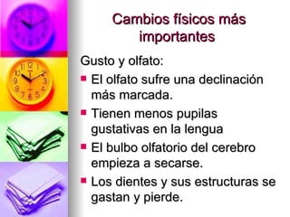 Gusto y olfato: El olfato sufre una declinación más marcada. Tienen menos pupilas gustativas en la lengua  El bulbo olfatorio del cerebro empieza a secarse. Los dientes y sus estructuras se gastan y pierde.  Cambios físicos más importantes  