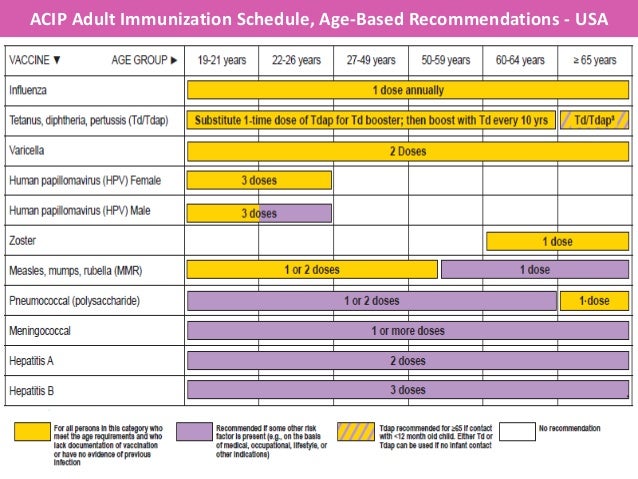 D G F Guidelines On Vadult Immunization For Indian Women