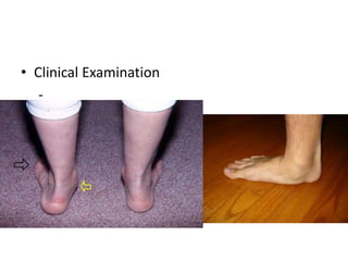 • Clinical Examination
-
 