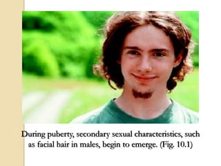 During puberty, secondary sexual characteristics, such
as facial hair in males, begin to emerge. (Fig. 10.1)
 