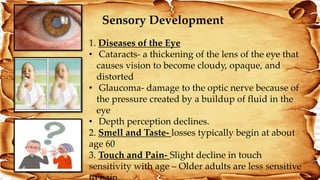 Sensory Development
1. Diseases of the Eye
• Cataracts- a thickening of the lens of the eye that
causes vision to become cloudy, opaque, and
distorted
• Glaucoma- damage to the optic nerve because of
the pressure created by a buildup of fluid in the
eye
• Depth perception declines.
2. Smell and Taste- losses typically begin at about
age 60
3. Touch and Pain- Slight decline in touch
sensitivity with age – Older adults are less sensitive
 