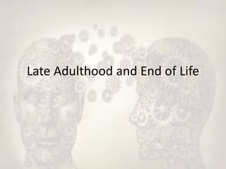 Late Adulthood and End of Life
 