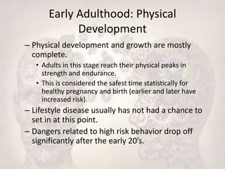 Adulthood Development Stages