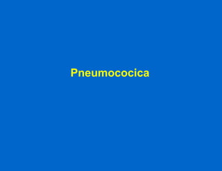 Pneumococica 