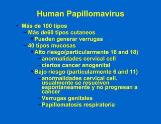 Human Papillomavirus Más de 100 tipos Más de60 tipos cutaneos Pueden generar verrugas 40 tipos mucosas Alto riesgo(particularmente 16 and 18) anormalidades cervical cell ciertos cancer anogenital Bajo riesgo (particularmente 6 and 11) anormalidades cervical cell. usualmente se resuelven espontaneamente y no progresan a cancer Verrugas genitales  Papillomatosis respiratoria 